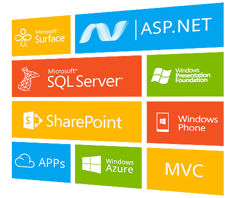 asp net expertise